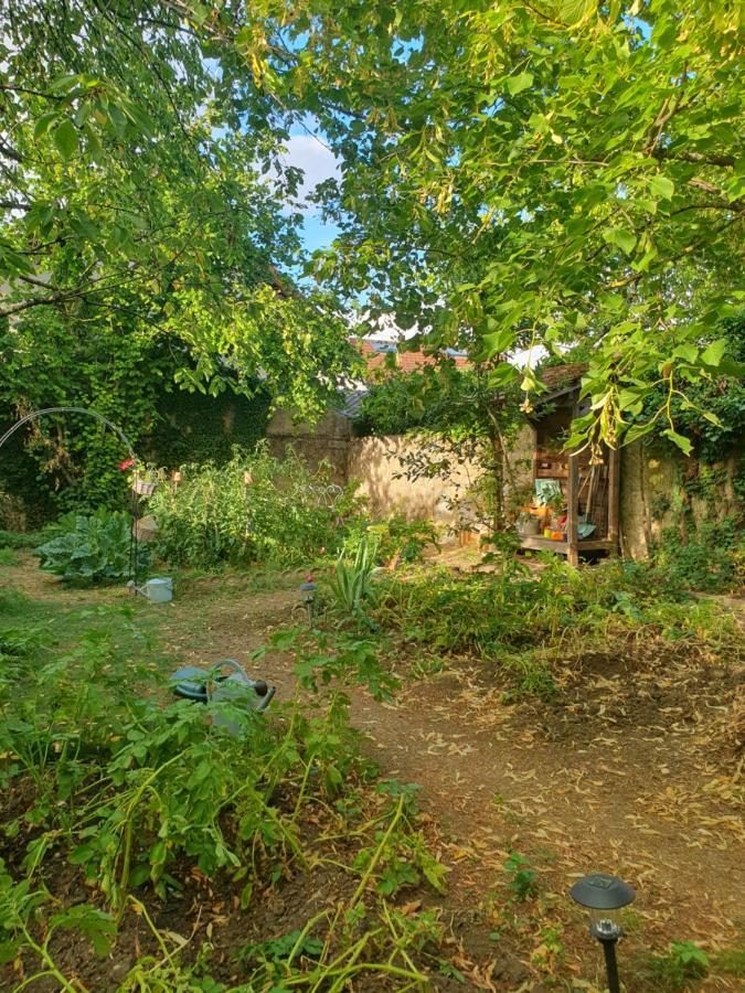 Le Clos Du Moulin Dijon,Niche En Pleine Verdure,Au Calme, La Campagne A La Ville Exterior photo